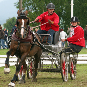 Henrik Hoeper - Winner Golden Wheel 